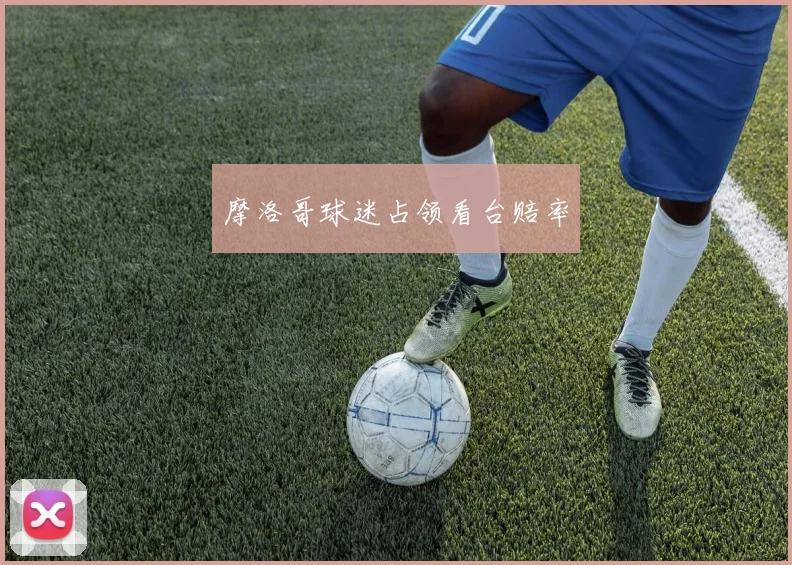 摩洛哥球迷占领看台赔率