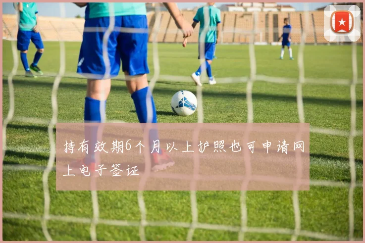 持有效期6个月以上护照也可申请网上电子签证