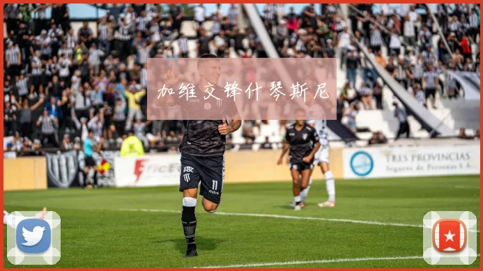 加维交锋什琴斯尼