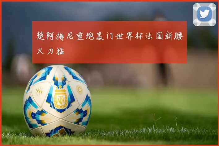 楚阿梅尼重炮轰门世界杯法国新腰火力猛