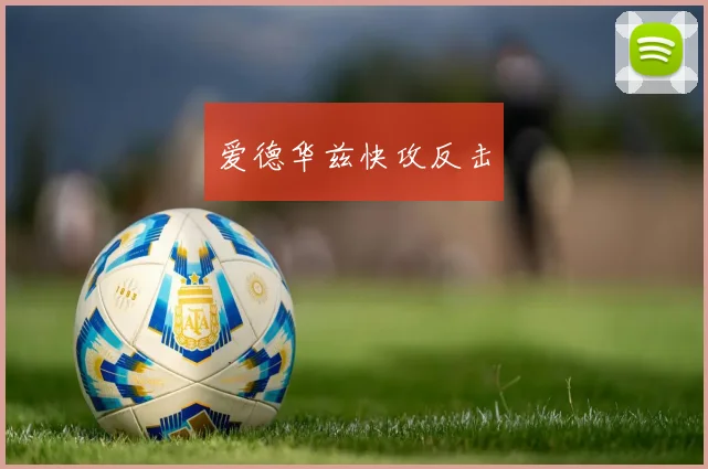 爱德华兹快攻反击