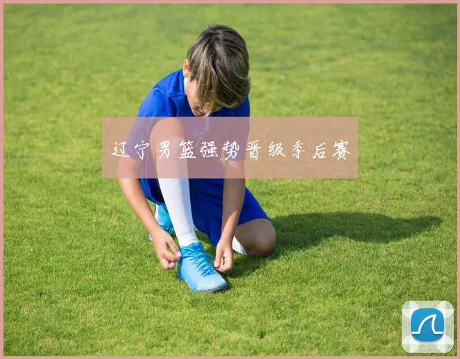 辽宁男篮强势晋级季后赛