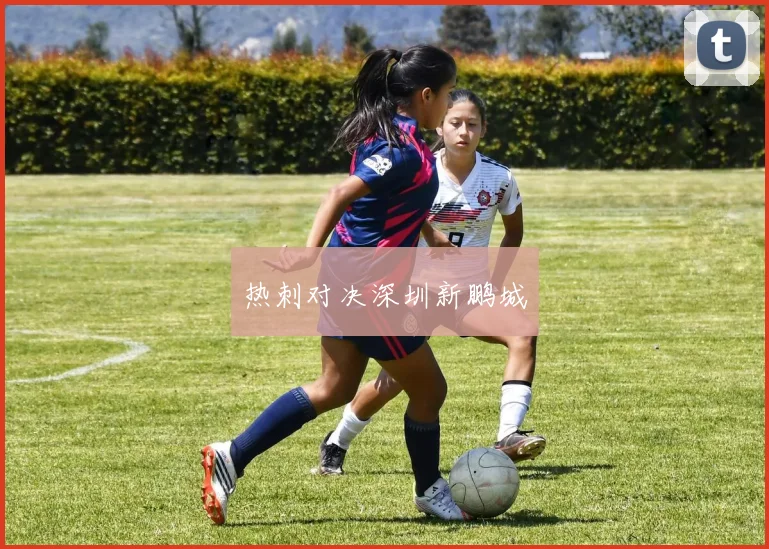 热刺对决深圳新鹏城