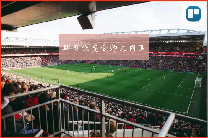 斯洛伐克会师几内亚