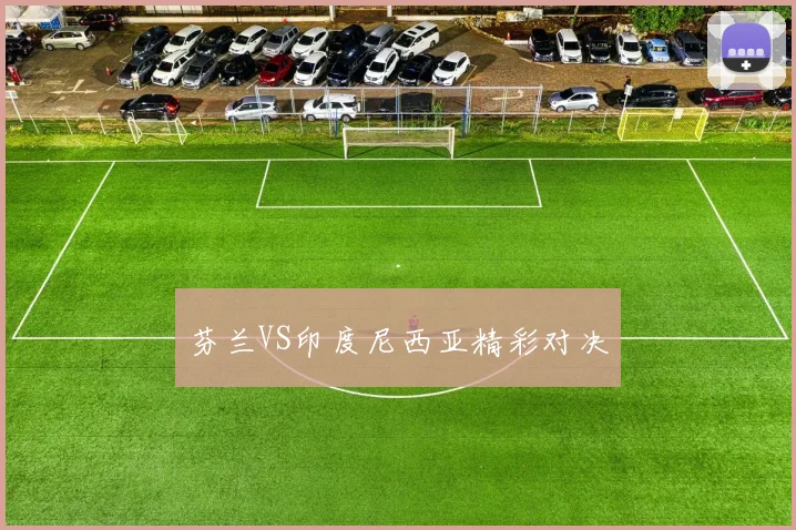 芬兰VS印度尼西亚精彩对决