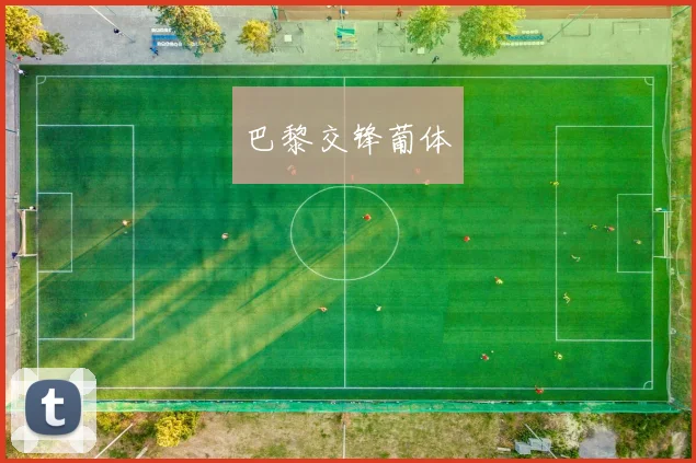 巴黎交锋葡体