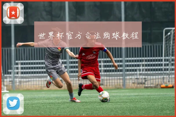 世界杯官方合法购球教程