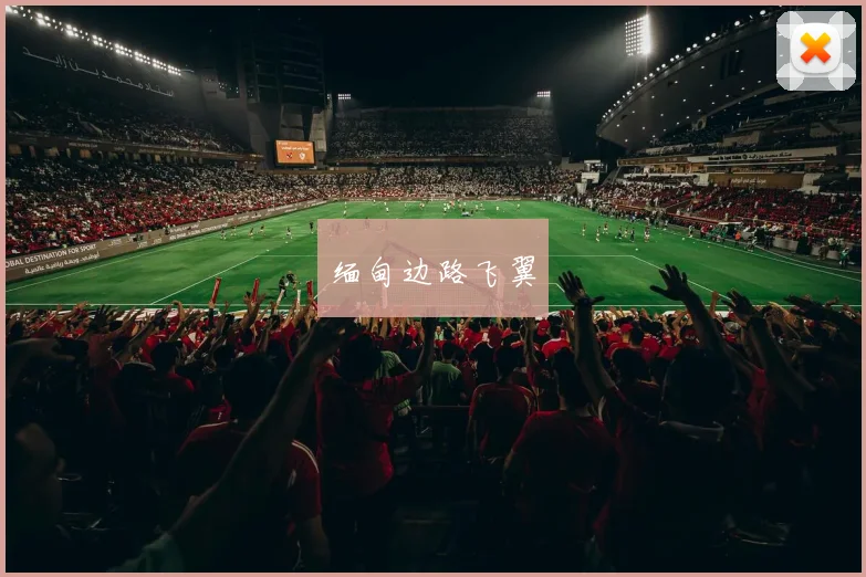 缅甸边路飞翼