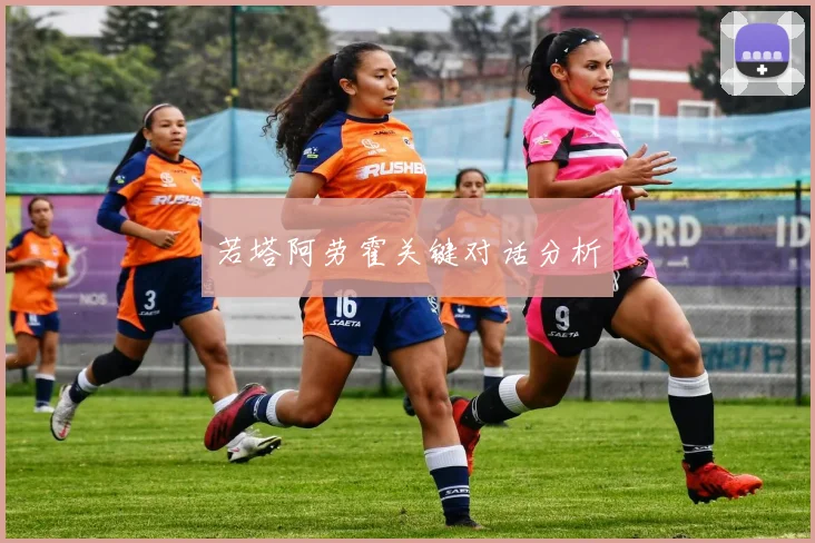 若塔阿劳霍关键对话分析