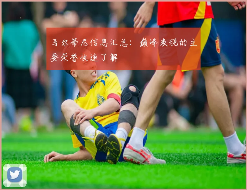 马尔蒂尼信息汇总：巅峰表现的主要荣誉快速了解