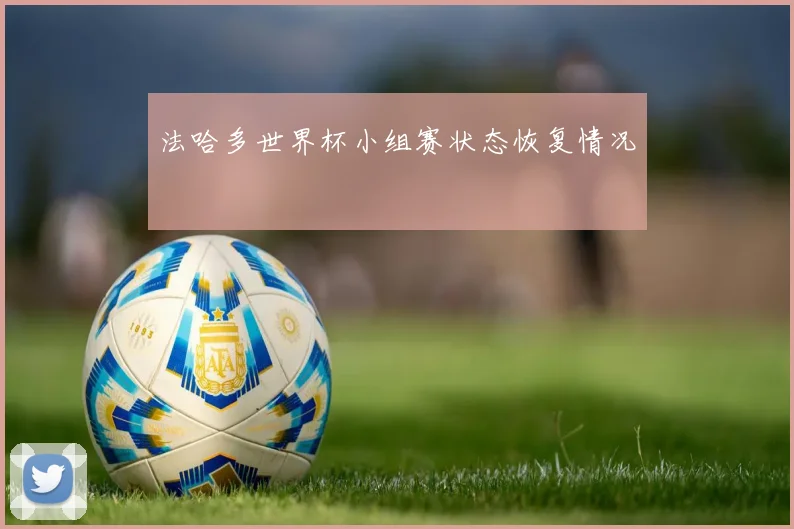 法哈多世界杯小组赛状态恢复情况